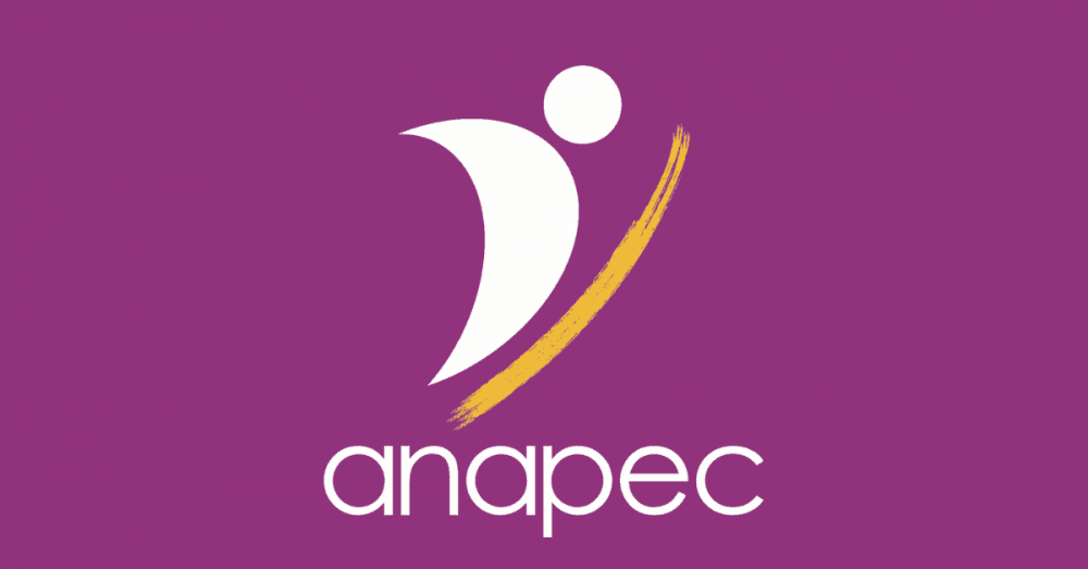 Emploi à Casablanca: rejoignez une société d’assurance via l’ANAPEC